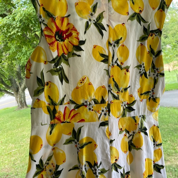 50’s Pin-up Lemon & Floral Dress🍋 - Picture 4 of 6
